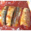 Tomato Sauce Flavor Canned Sardine Fish