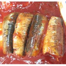 Poisson Sardine Pilchard en conserve