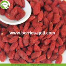 Perdere peso Goji tibetano sano naturale secco