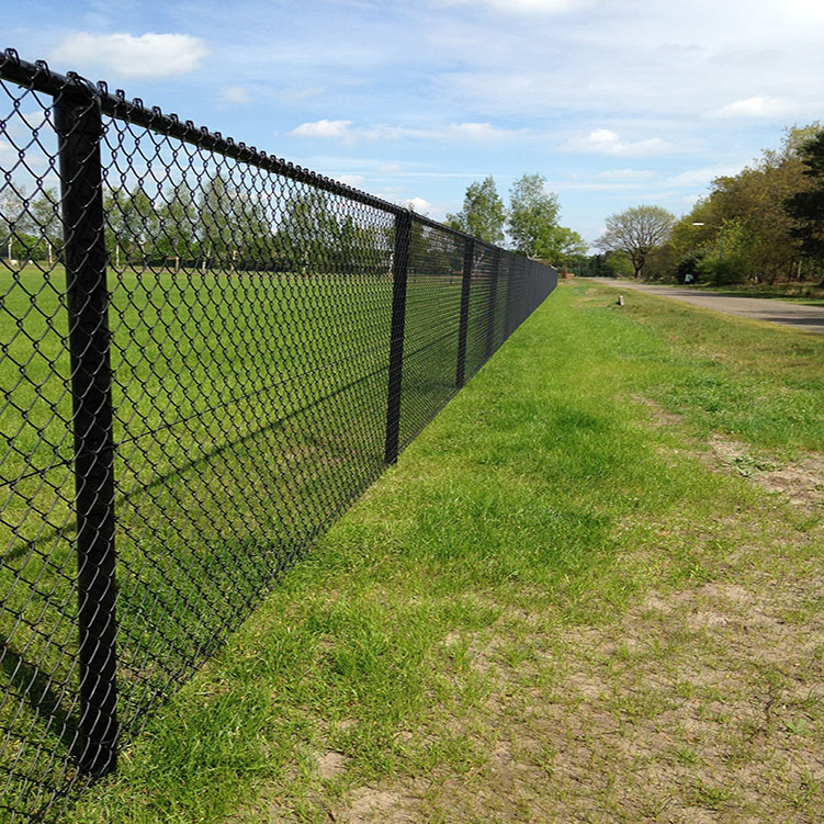 Galvanized Then PVC Coated Chain Link Fence