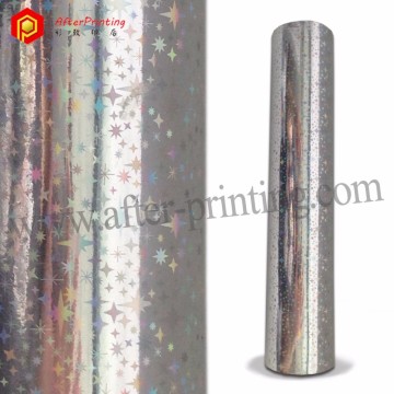 Hot Stamping Foils Holograms/Holographic in Silver and Gold Color