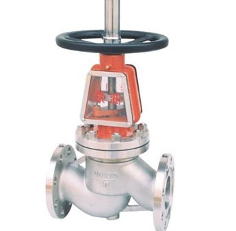 Oxygen globe valve