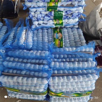 Prepacks Fresh Pure/White Garlic