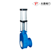 Flanged Pneumatic Double Gate Inlet Valve