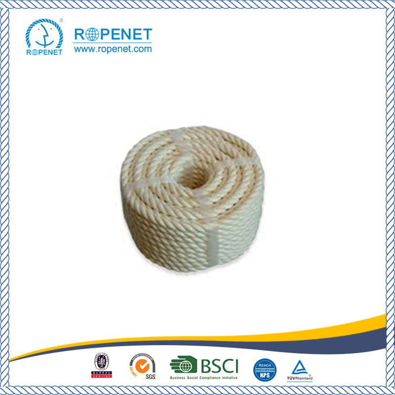 High Quality 100% Cotton Rope for Sale