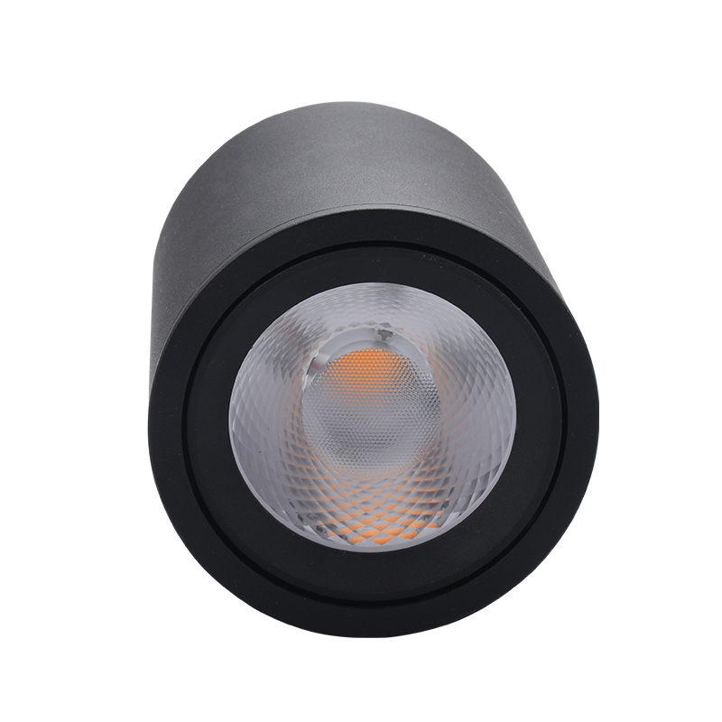 Mordern LED 10W 20W Home Ceiling Lamp Downlights