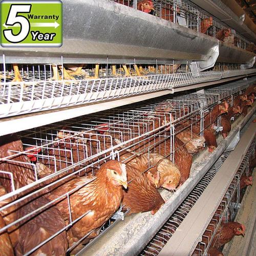 Metal poultry transport cage for chicken(ISO9001-2000)