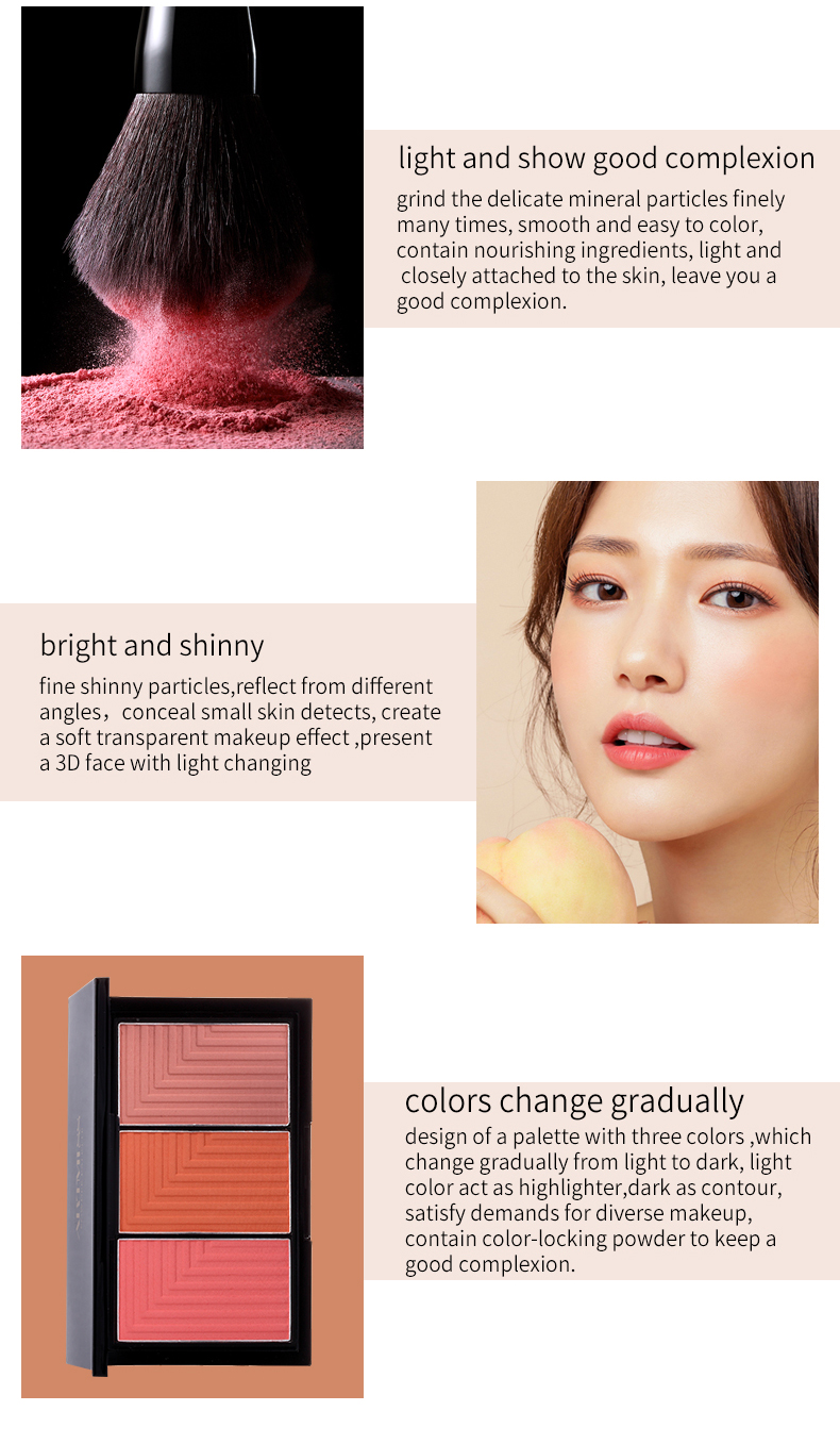 Makeup Shimmer Beauty Packaging Single Empty Blush Palette