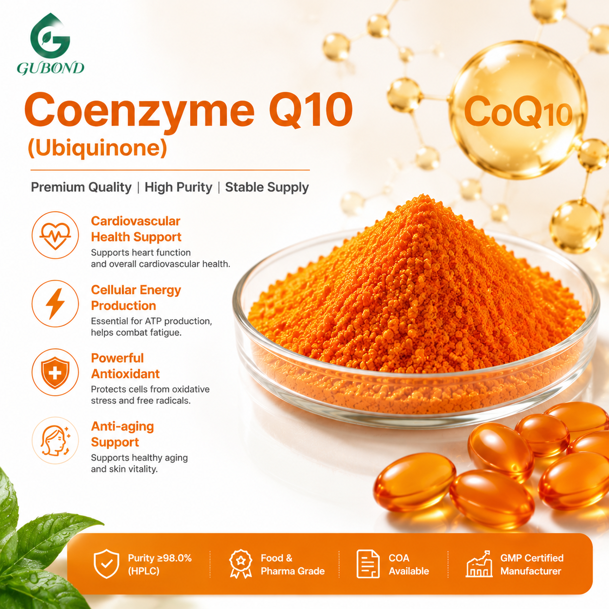 Coenzima Q10 Coenzyme Q10