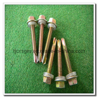 Driiling Screw with Washer