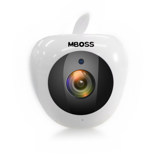 Cute Design 1080P Motion Sensor Wifi IP Camera