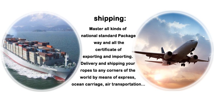 PC阳光板 PC Sunshine Board