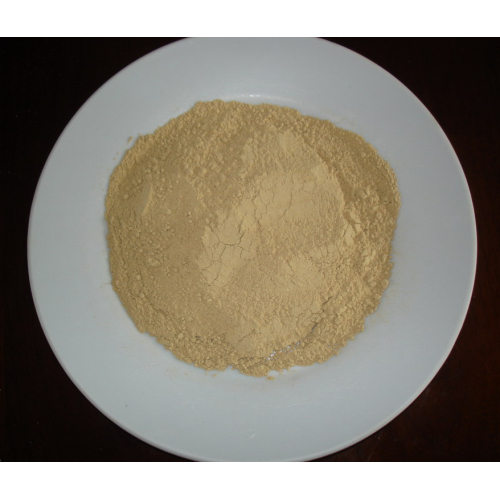 Healthy dried ginger powder