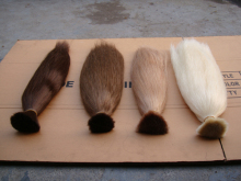 Human Hair Bulk Extension (WHH-STB--009)