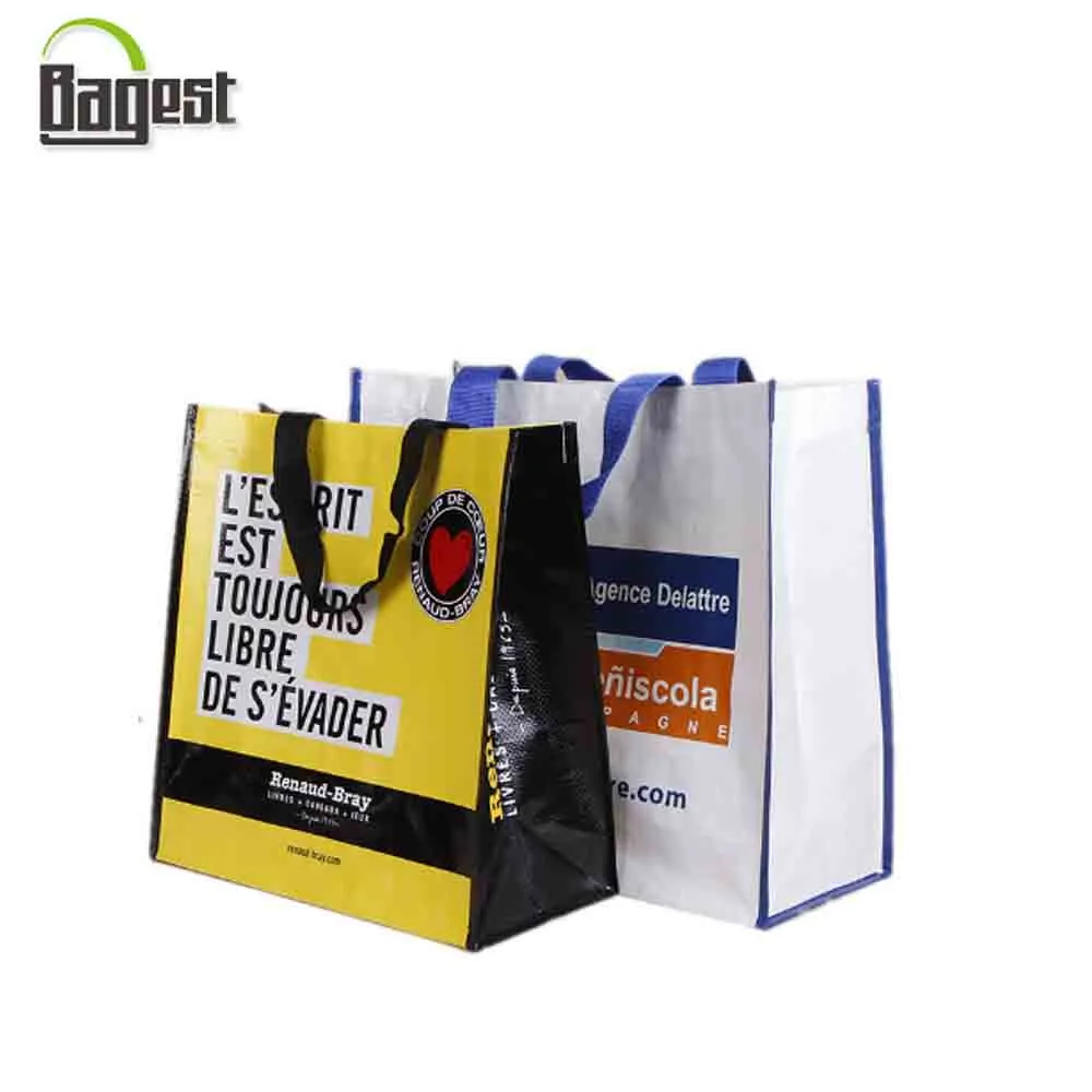 Qingdao Oeko-Tex 100 Certificated Supermarket Grocery PP Non Woven Bags in Promotion