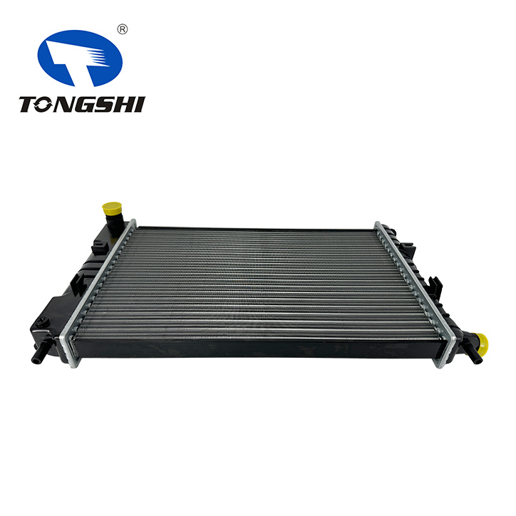 1664043,1664051,1664072,1664073, Radiator for Ford Escort Mark 5 1664043,1664051,1664072,1664073, Radiator for Ford Escort Mark 5
