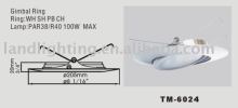 Recessed Trim Downllight with Gimbal ring