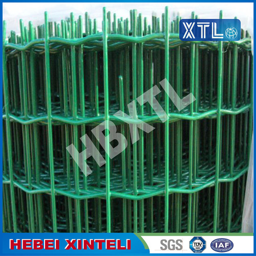 European Post Garden Fencing Wire Mesh