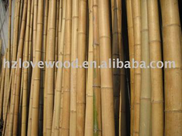 Bamboo Pole