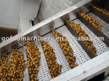 Fruit processing machine (Fruit Elevator,Fruit and Vegetable Processing Plant)