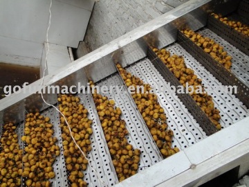 Fruit processing machine (Fruit Elevator,Fruit and Vegetable Processing Plant)