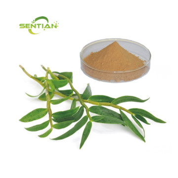 Dendrobium Powder Dendrobium Extract