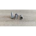 Cold Formed Steel Building Material Truss Head Screw