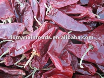 Yidu chilli with stem
