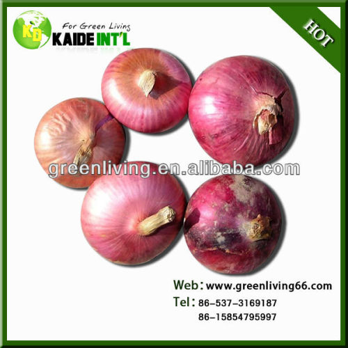 2014 fresh onion exporter from china