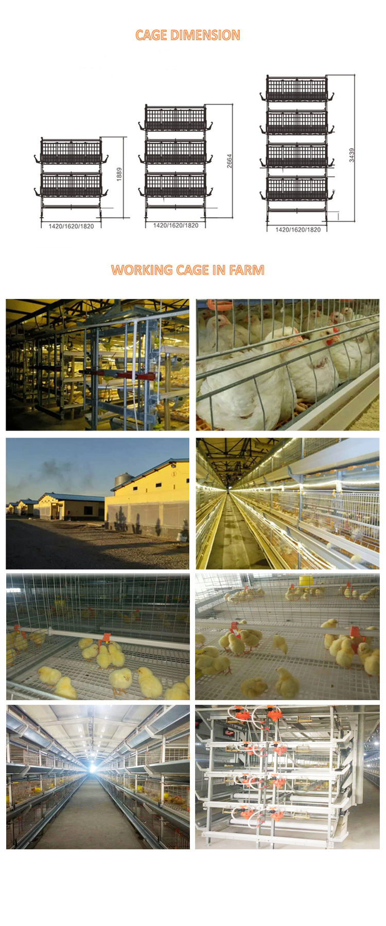 broiler cage 750 manual move out feeding machine