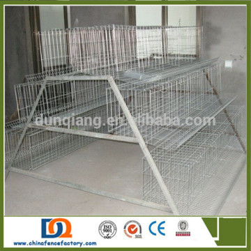 Cheap Welded Wire Mesh egg laying chicken cages