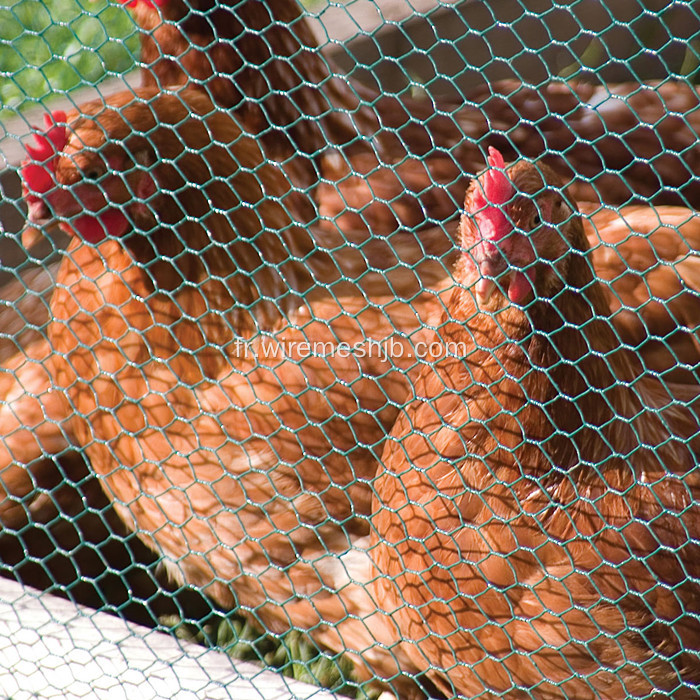 Grillage de bétail de poulet enduit de PVC