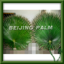 dry palm frond,preserved palm frond,artificial leaf