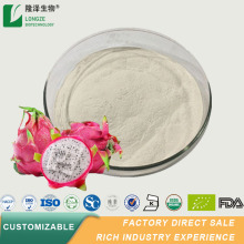 Wholesale Dragon Fruit Powder Blanco Pitaya Fruit Powder