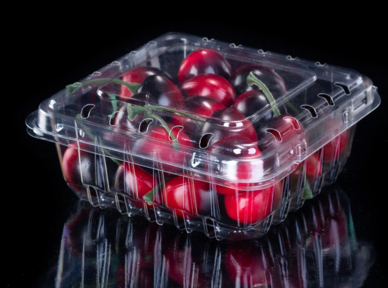 Plastic blueberry fruit clamshell packaging box 