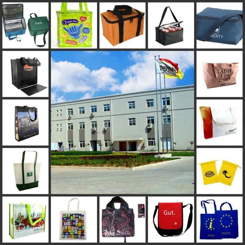 Oeko-Tex Non Woven Wholesale Shopping PP Non Woven Bag Customize Printing Bulk Non Woven Bag