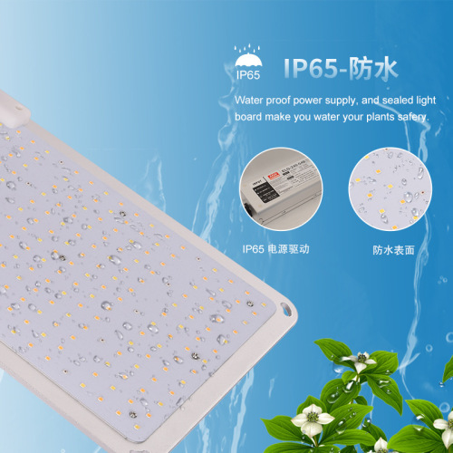 200W LED Grow Light Warehouse