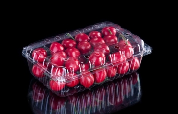 Clear fruit clamshell with lid