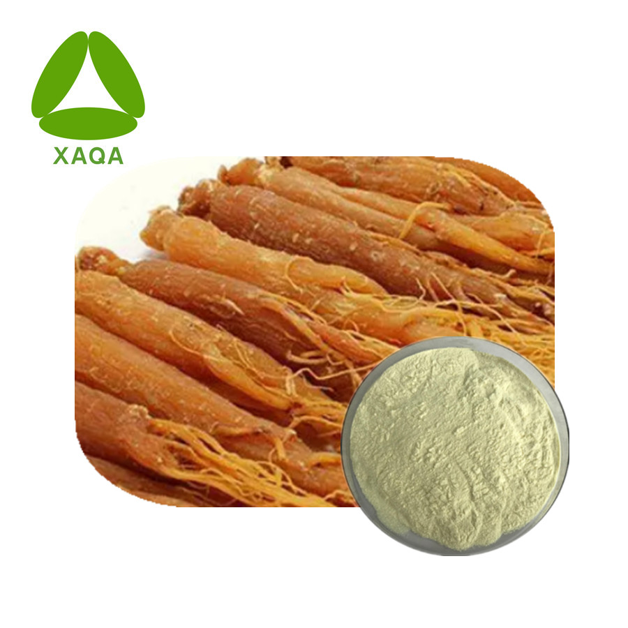 Coréia Red Ginseng Raiz Extrato Ginsenosídeos em pó 80%