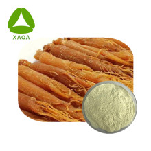 Corea Red Red Ginseng Root Extract Ginsenosides en polvo 80%