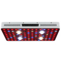 Grow Lighting 2000 watt COB Led Grow Light