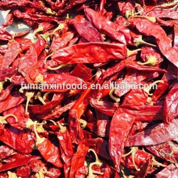 red Chilli pepper