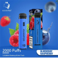 Gunnpod Diaposlable vape 2000 Puffs-5% NIC