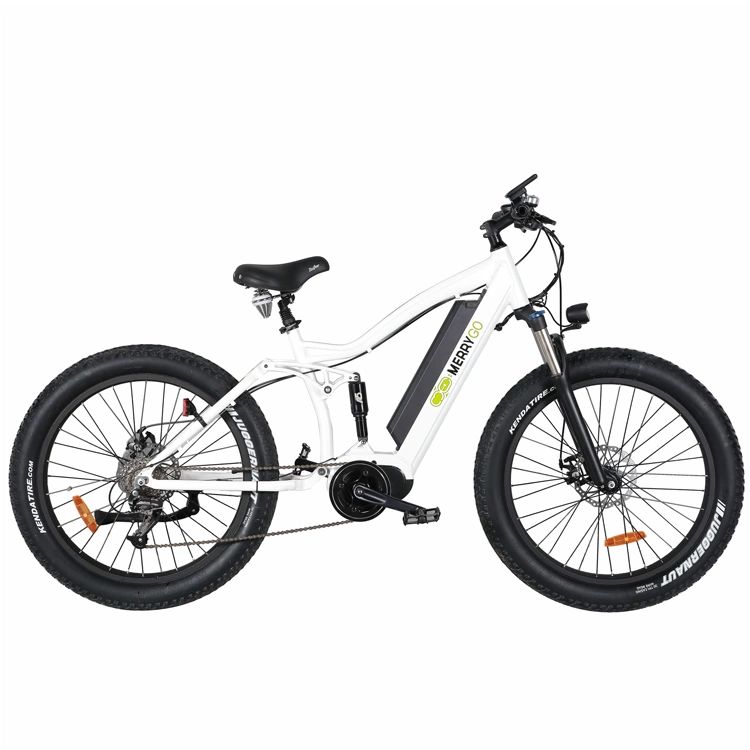 professional Electric Mountain Bike Brushless Motor Power Ebike