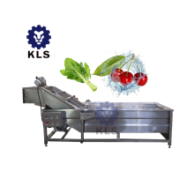 KLS Multi-functional High Pressure Bubble Fruits and Vegetables Washing Machine