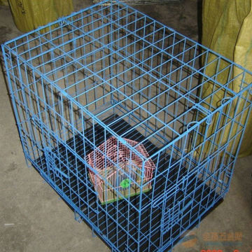 factory supply parrot cage/bird cage/pet cage