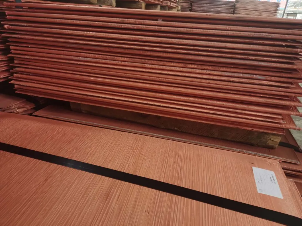 Good Price 99.99% /Copper Cathodes 99.99%/ Pure Copper Plate