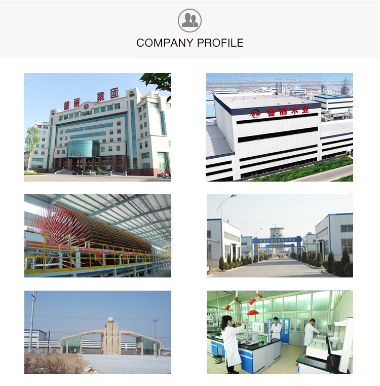 Perfil de la compañía company-profile