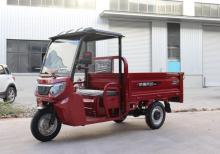 Mini Single Seat Electrico Electric Adult Tricycle