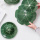 Grön kålplatta kronblad keramiskt bordsartiklar